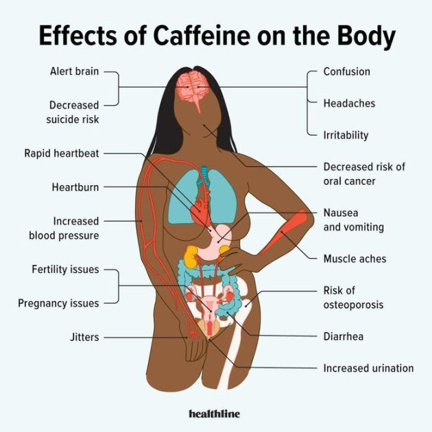 Effects of caffeiene on the Body by eslam mohamed eBook Barnes Noble