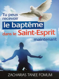 Title: Tu Peux Recevoir le Baptême Dans le Saint-Esprit Maintenant (Aides Pratiques pour les Vainqueurs, #18), Author: Zacharias Tanee Fomum