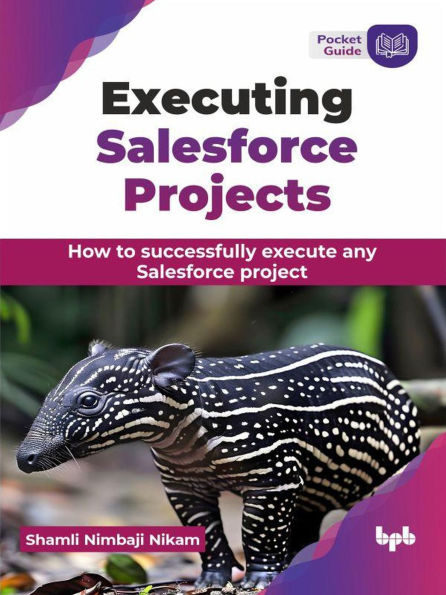 Executing Salesforce Projects: How to successfully execute any Salesforce project