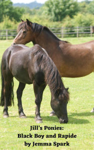 Title: Jill's Ponies: Black Boy and Rapide (Jill Series, #8), Author: Jemma Spark