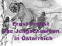 Das Jungacheuléen in Österreich