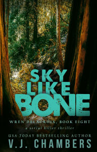 Title: Sky Like Bone (Wren Delacroix, #8), Author: V. J. Chambers