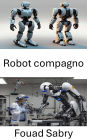 Robot compagno: Migliorare la vita attraverso l'assistenza intelligente