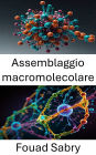 Assemblaggio macromolecolare: Comprensione dei principi di formazione strutturale e dinamica nei sistemi molecolari