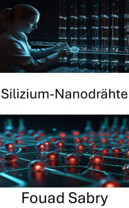 Title: Silizium-Nanodrähte: Weiterentwicklung von Geräten und Systemen im Nanomaßstab, Author: Fouad Sabry