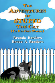 Title: The Adventures Of Stupid The Cat, Author: Bruce A. Borders