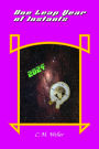 One Leap Year of Instants 2024 (Years of Instants, #12)
