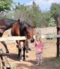 Title: How to Horse, Author: Penny Chivers