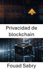 Privacidad de blockchain: Protección de la identidad y la integridad de los datos en la era digital