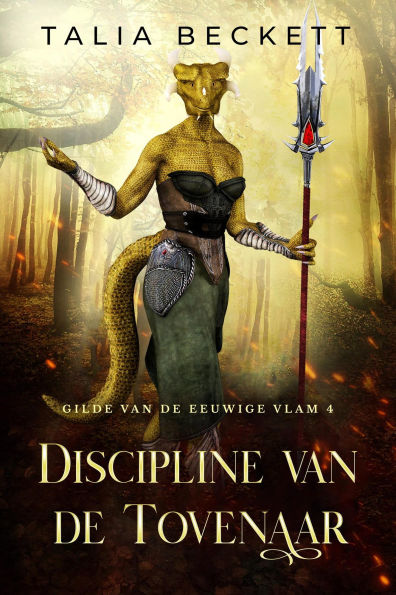 Discipline van de Tovenaar (Gilde van de Eeuwige Vlam, #4)