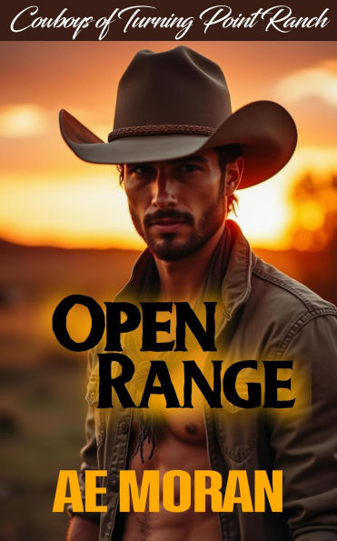 Open Range (Cowboys of Turning Point Ranch, #1)