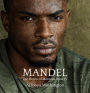 Mandel (The Kentts of Montana, #4)