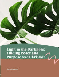 Title: Light in the Darkness: Finding Peace and Purpose as a Christian, Author: Robert House