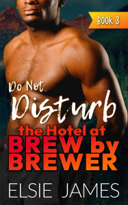 Title: Do Not Disturb (Holidays at Brew by Brewer, #3), Author: Elsie James