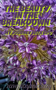 Title: The Beauty in the Breakdown: My Journey with BPD, Author: Tahjnay McCray
