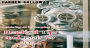 Mastering AI in Everyday Life: Practical Tips and Tools for 2024