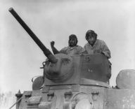 Title: Warriors of the 761st: The Black Panthers in World War II: The Role of African American Soldiers in World War II, Author: Gene Harmon