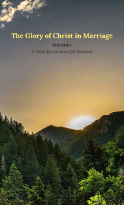 Title: The Glory of Christ in Marriage, Volume I, Author: Aaron Osowski