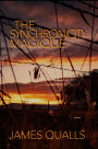 The Synchronicity Magique