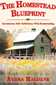 Title: THE HOMESTEAD BLUEPRINT: Introductory Self-Sufficiency With Homesteading, Author: Audra Haldane