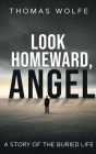 Look Homeward, Angel