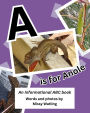 A is for Anole: An Informational ABC Book