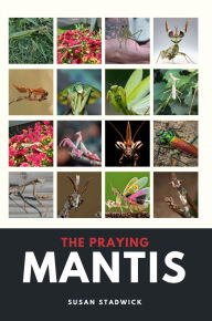 Title: The Praying Mantis, Author: Susan R. Stadwick