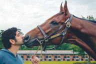 Title: When He Kisses Horses In the Mouth My Stomach Goes South, Author: Mandy Miller