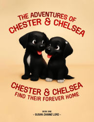 Title: The Adventures of Chester & Chelsea: : Chester & Chelsea Find Their Forever Home (Book One), Author: Susan Dianne Lord