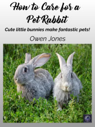 Title: How to Care for a Pet Rabbit: Cute little bunnies make fantastic pets!, Author: Owen Jones
