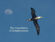 Title: The Consolation of Enlightenment, Author: Ochs