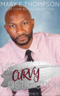 His Curvy Distraction: A Small-Town Curvy Girl Romance