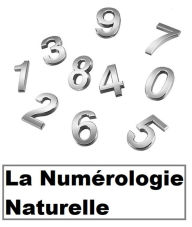 Title: La numérologie naturelle: Découvrez comment vos chiffres peuvent changer votre vie !, Author: vivien