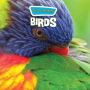 God Created Birds