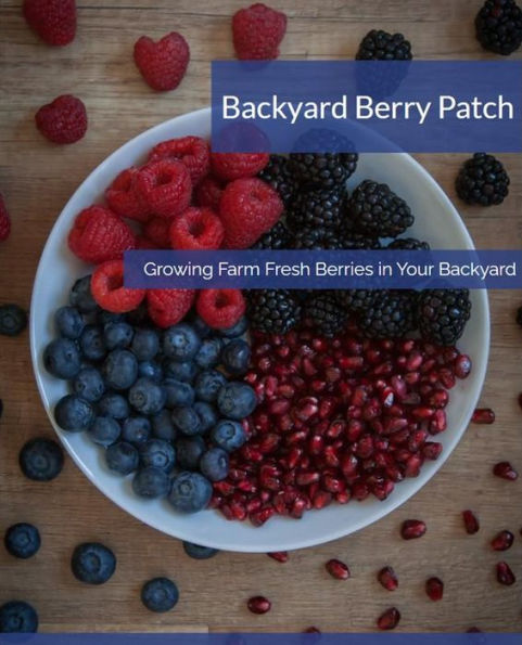 Backyard Berry Patch: Growing Farm Fresh Berries in Your Backyard