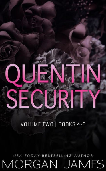 Quentin Security Series Box Set 2