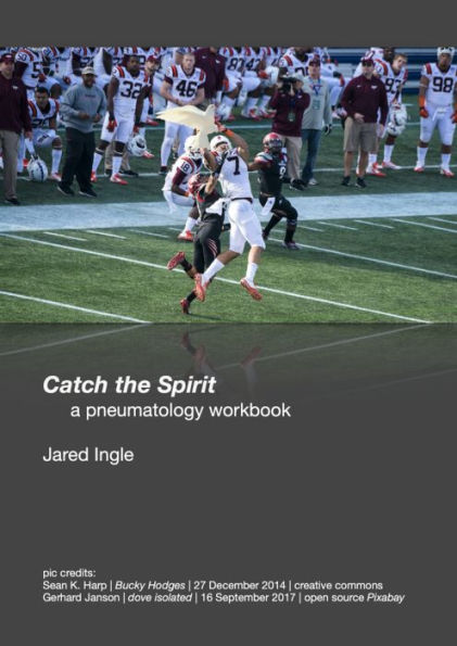 Catch the Spirit: a pneumatology workbook