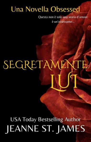 Segretamente Lui: Una Novella Obsessed