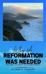 Title: Why A Reformation Was Needed: The Case for Christ in His Own Church, Author: Elizabeth Johnson