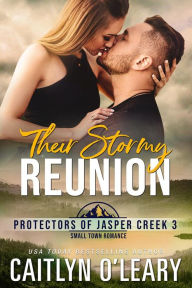 Title: Their Stormy Reunion, Author: Caitlyn O'leary