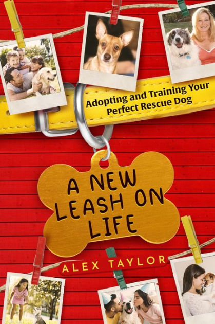 New leash on life dog training best sale