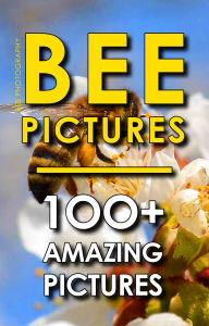 Title: Bee Pictures and Photography - A Bees Picture and Photo Book - Amazing Collection, Author: Daniel Miller