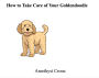 How to Take Care of Your Goldendoodle