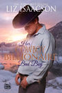 Her Cowboy Billionaire Bad Boy: A Hammond Brothers Novel