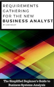 Title: THE NEW BUSINESS ANALYST, Author: LAUREN CARROLL