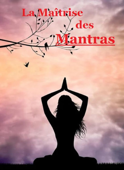 La Maîtrise des Mantras: Maîtrisez l'art de pratiquer des mantras pour atteindre des objectifs et la paix dans la vie.