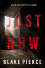 Just Now (A Cami Lark FBI Suspense ThrillerBook 7)