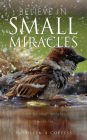 BELIEVE IN SMALL MIRACLES: Look for small miracles in your life.