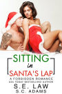 Sitting in Santa's Lap: A Forbidden Romance