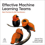 Effective Machine Learning Teams: Best Practices for ML Practitioners